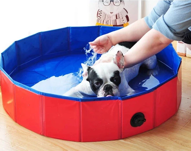 Customized Add Logo Collapsible Pet Dog Bath Pool/ Kiddie Pool Hard Plastic Foldable Bathing Tub PVC Outdoor Pools for Dogs Cat Kids