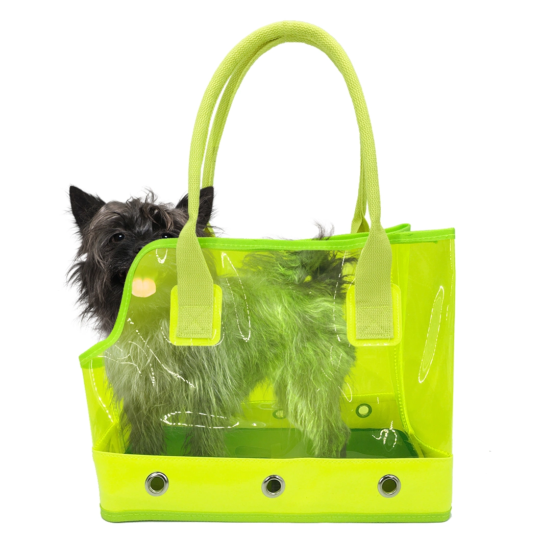 Fluorescence Colorful PVC Transparent Outdoor Dog Cat Pet Products with Pet Supply