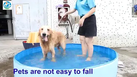 Manufacturer Price Stainless Steel Pedal Pet Bath Pool for Sale