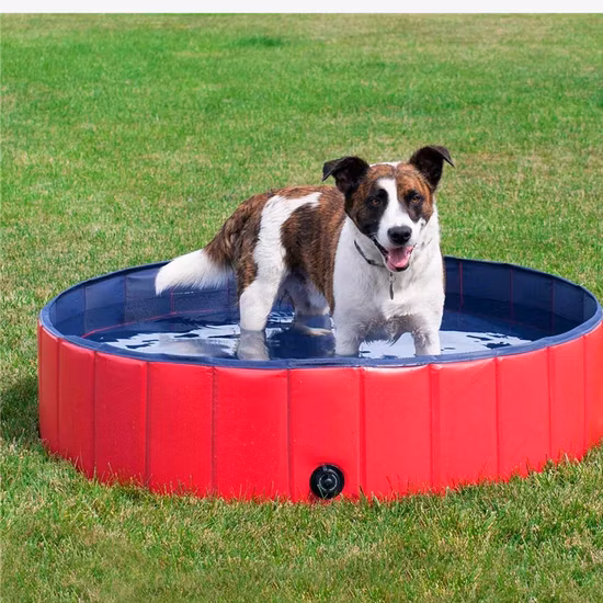 Foldable Dog Pool for Large Dogs Portable Hard Plastic PVC Pet Bathing Tub Outdoor Collapsible Swimming Pool